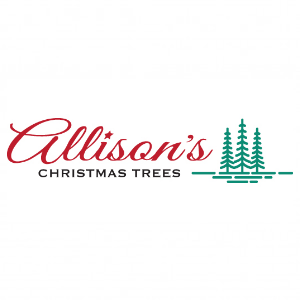 Allison's Christmas Trees