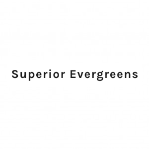 Superior Evergreens